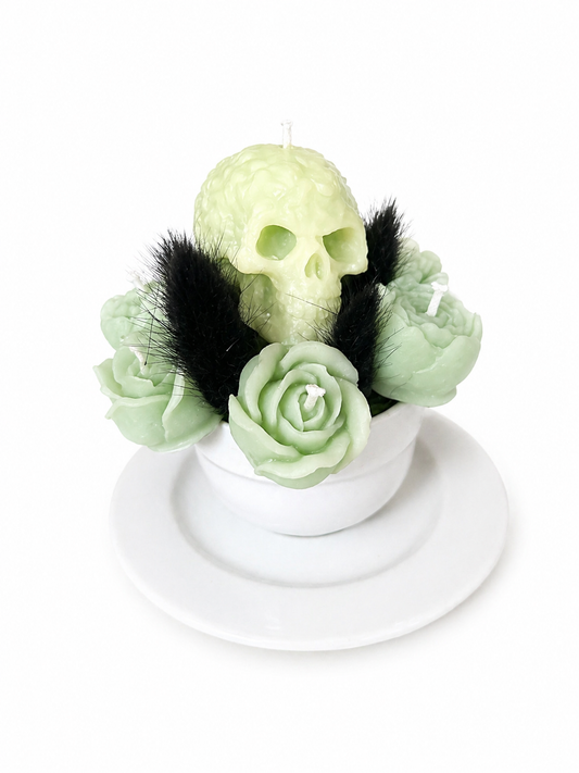 Fraicheur d'été • TS-000
